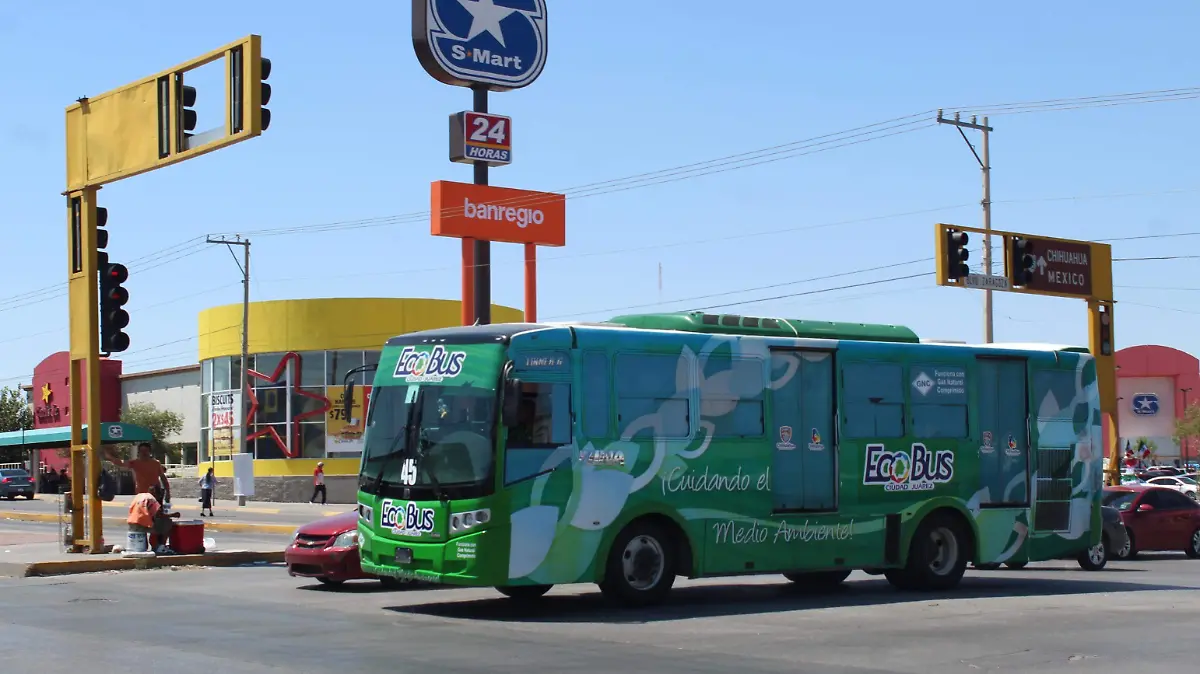 ruta troncal 2 vive bus. olga casas (1)